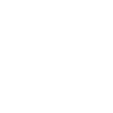 Gaughran 2024 Website twitterXIcon